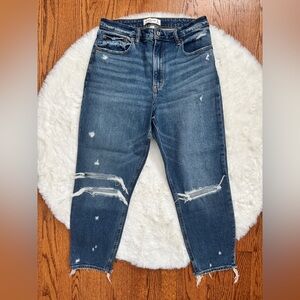 Abercrombie & Fitch Curve Love High Rise Mom Jean